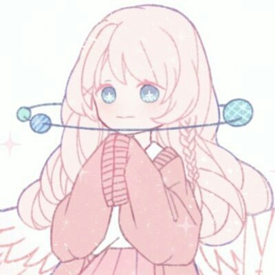 邱鼎杰小猫 寄养